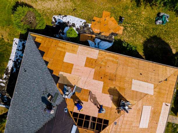 Best Emergency Roof Repair  in Woodward, IA