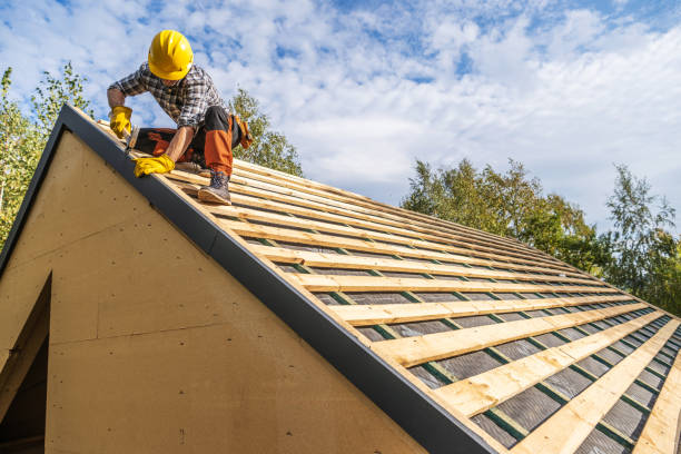 Best Roof Leak Repair  in Woodward, IA