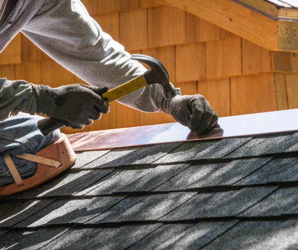 Roof Gutter Cleaning in Woodward, IA